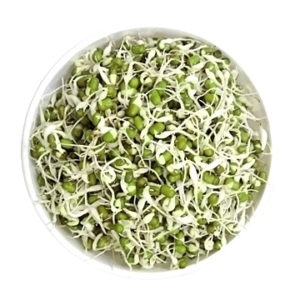 Cuts & Sprouts